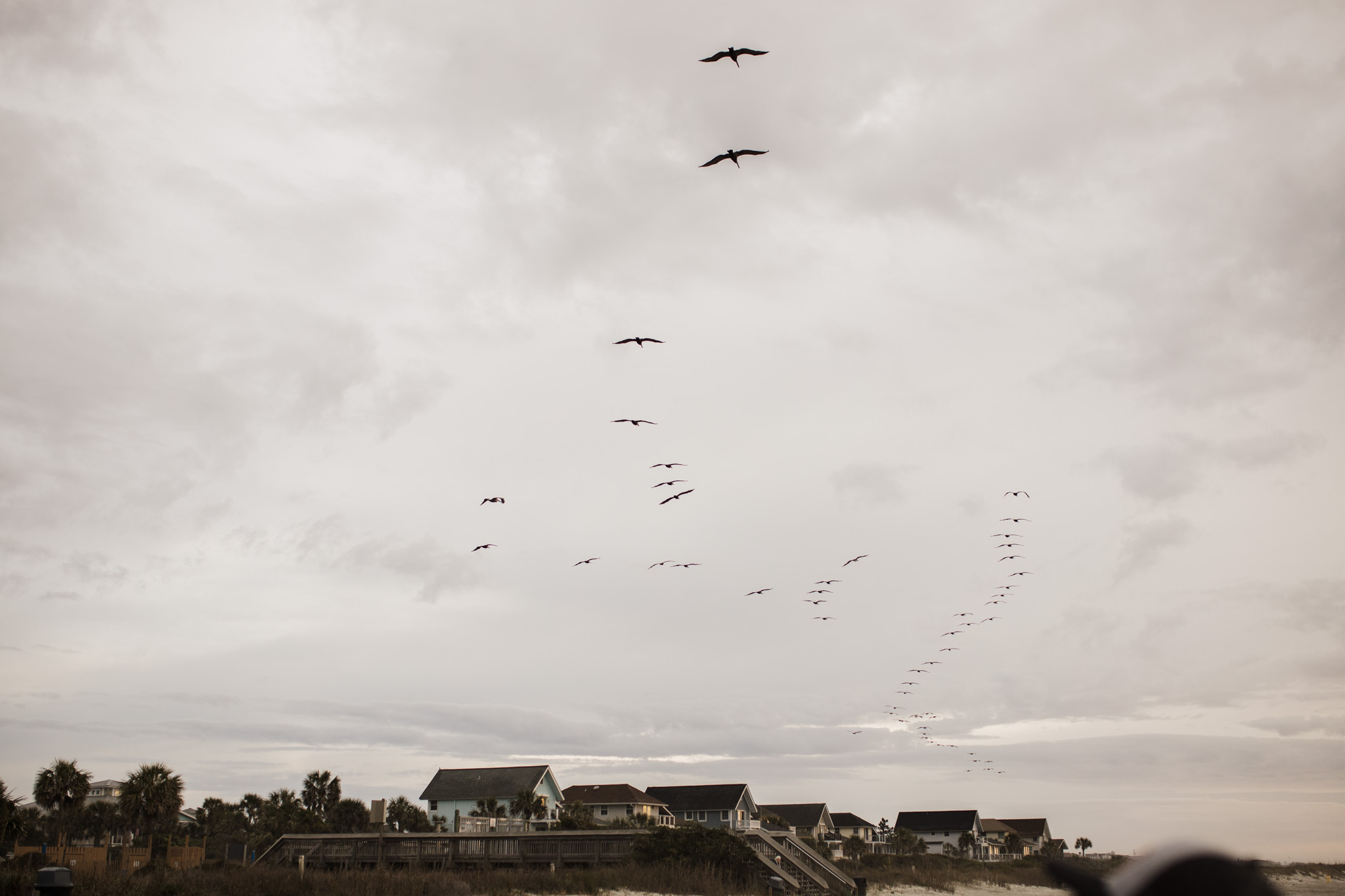 Seagulls flying above beach houses at Folly Beach, South Carolina