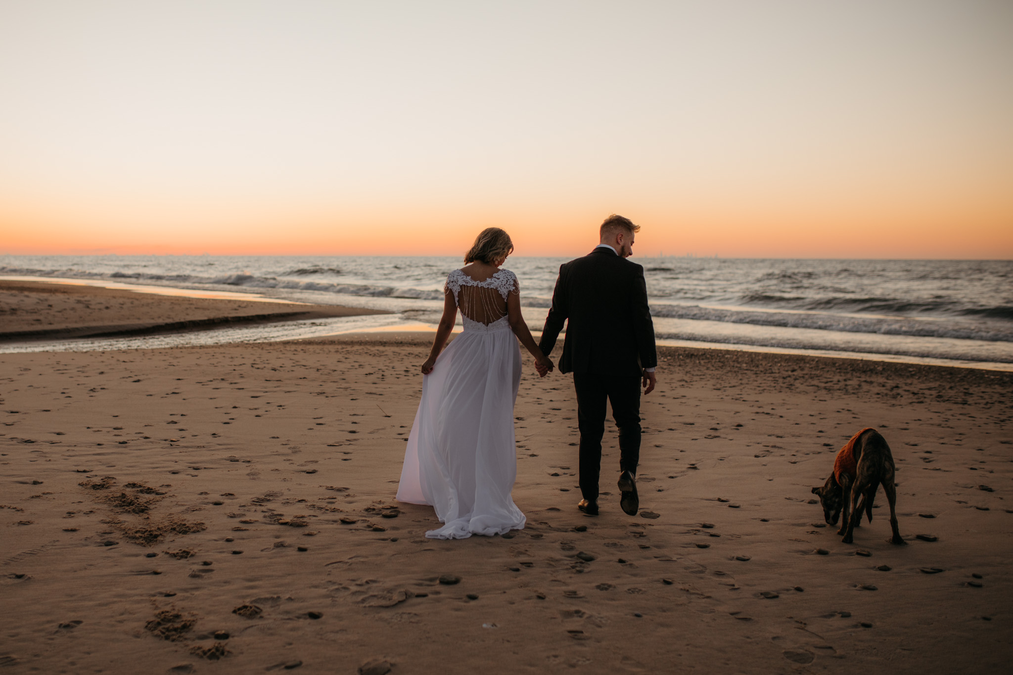 The coolest beach elopement with a dog