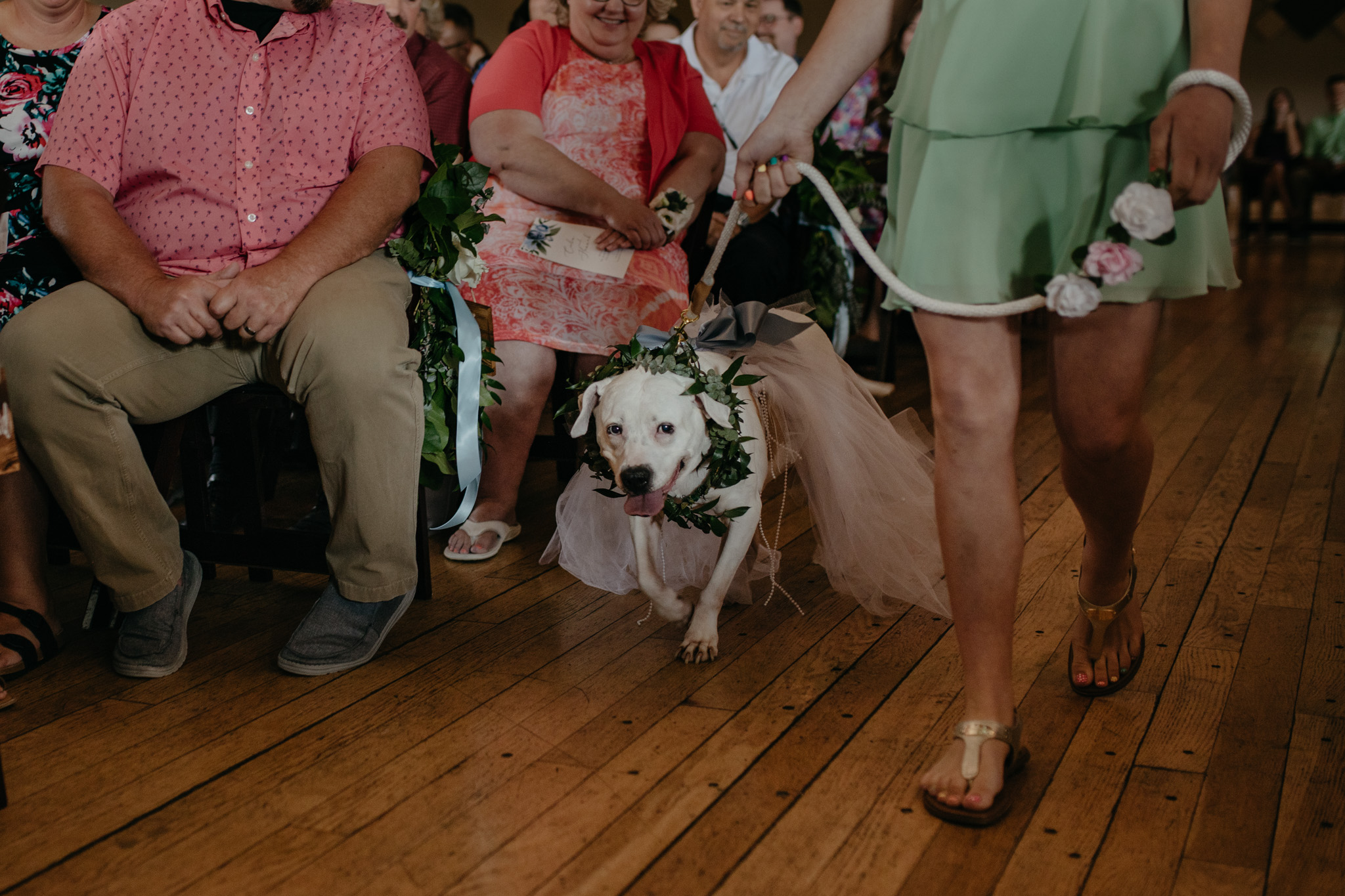 The sweetest flower dog walks down the aisle at this Indiana wedding