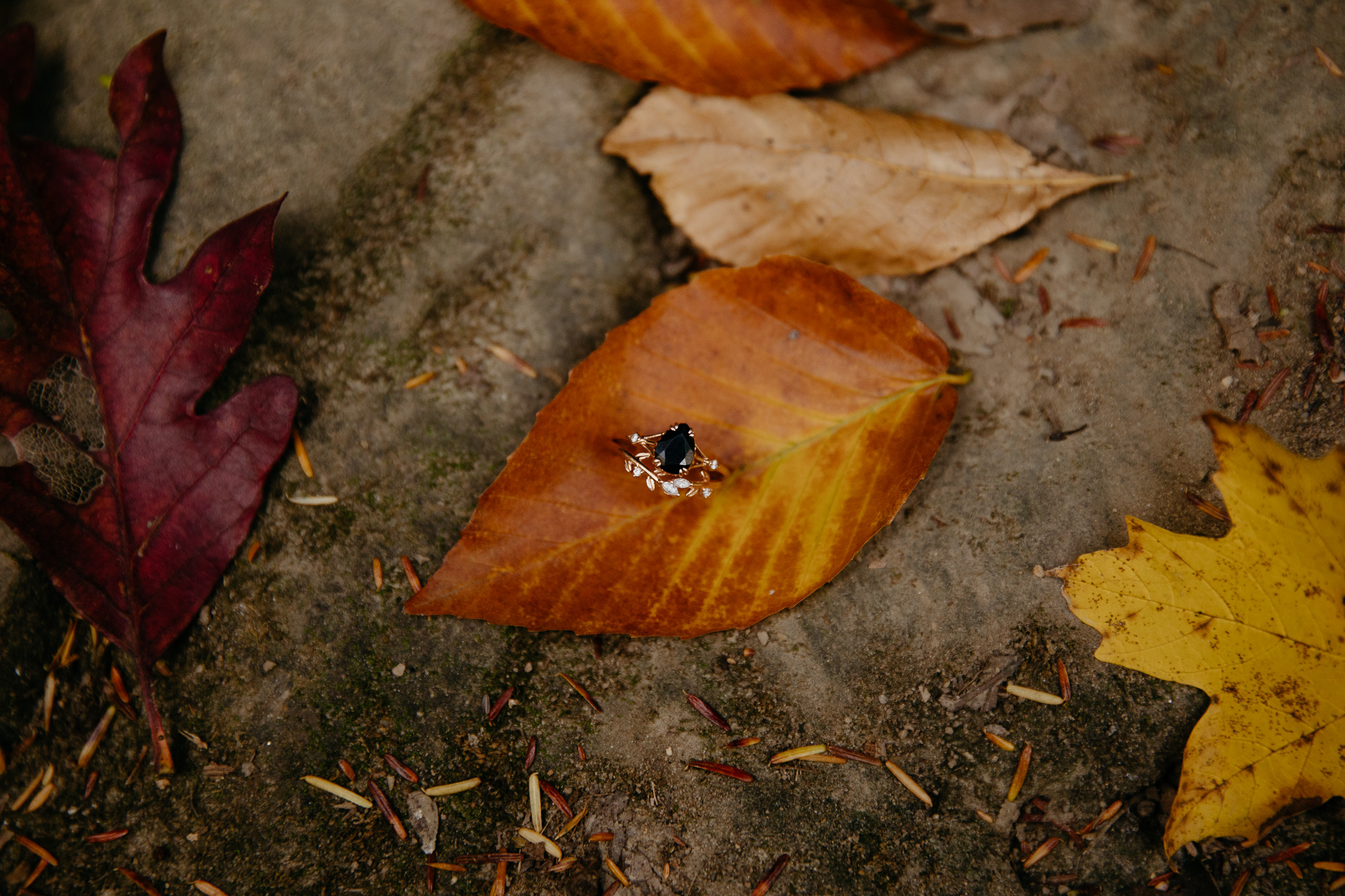 Wedding rings on a leaf at this Indiana Elopement