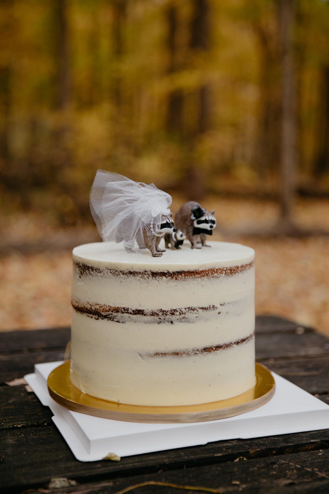 Racoon cake toppers on wedding cake at campsite during a fall elopement