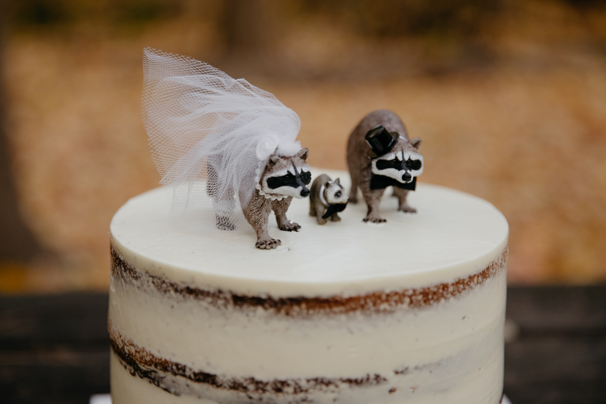 Racoon cake toppers on wedding cake at campsite during a fall elopement