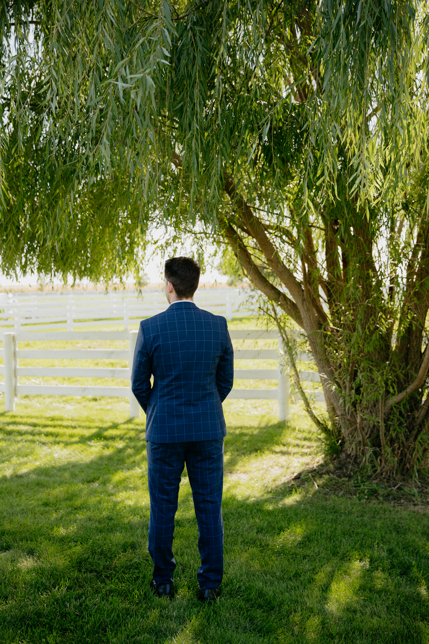 Groom facing towards horse paddocks and a willow tree, waiting to see his bride