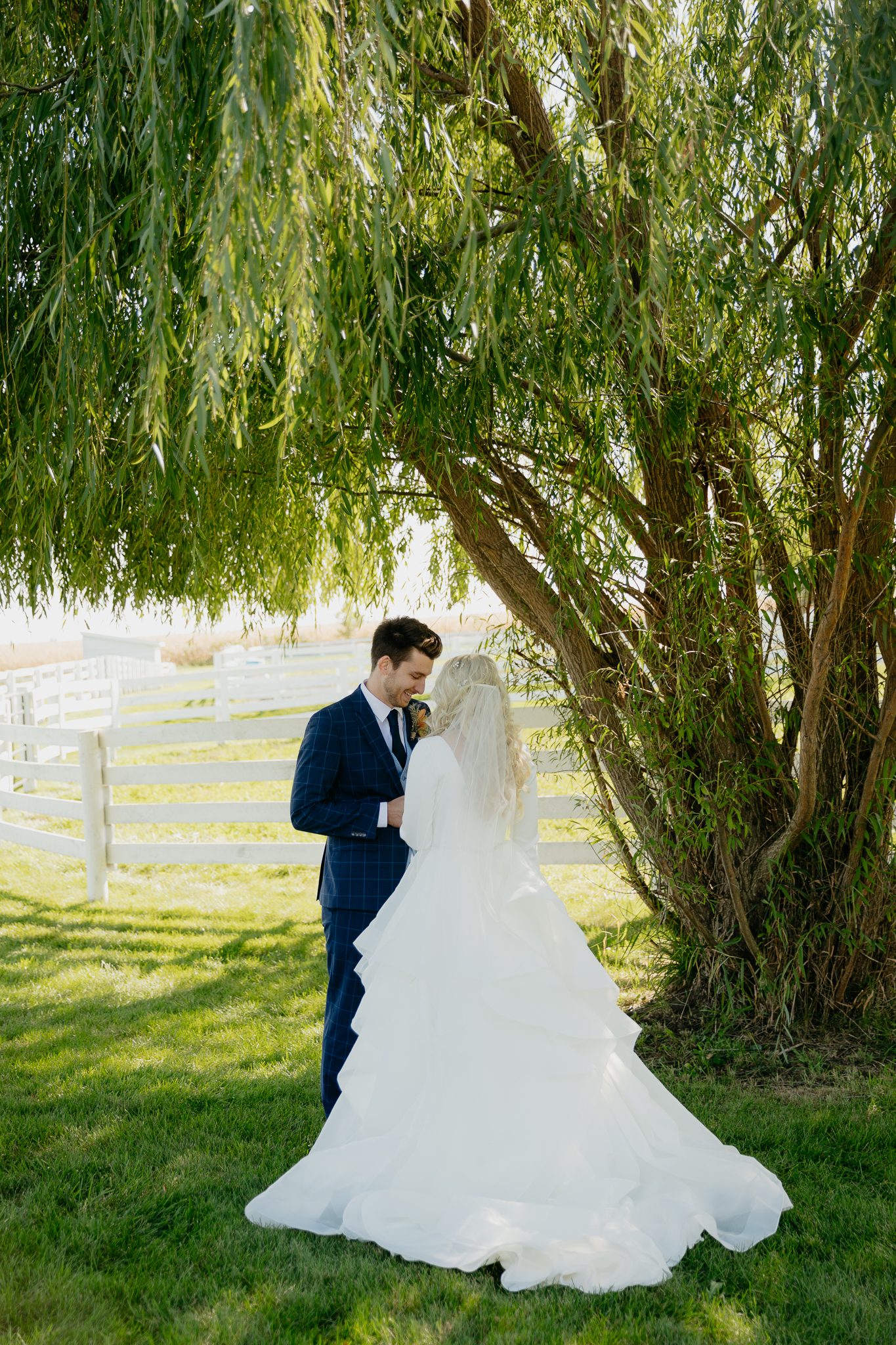groom and bride read vows to each other underneath a willow tree
