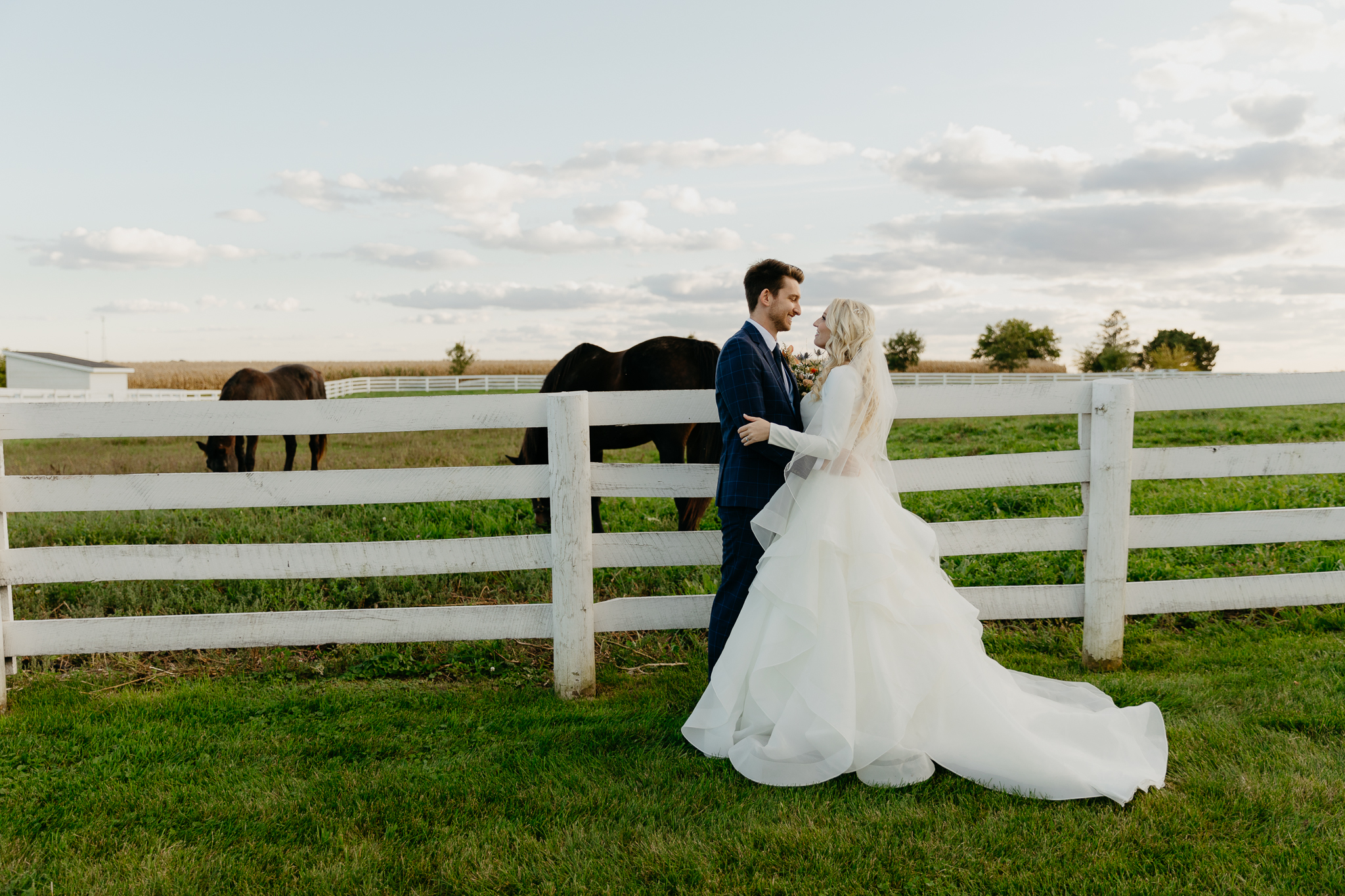 Bride and groom embrace and kiss next to a pasture with two brown horses, at Northfork Farm