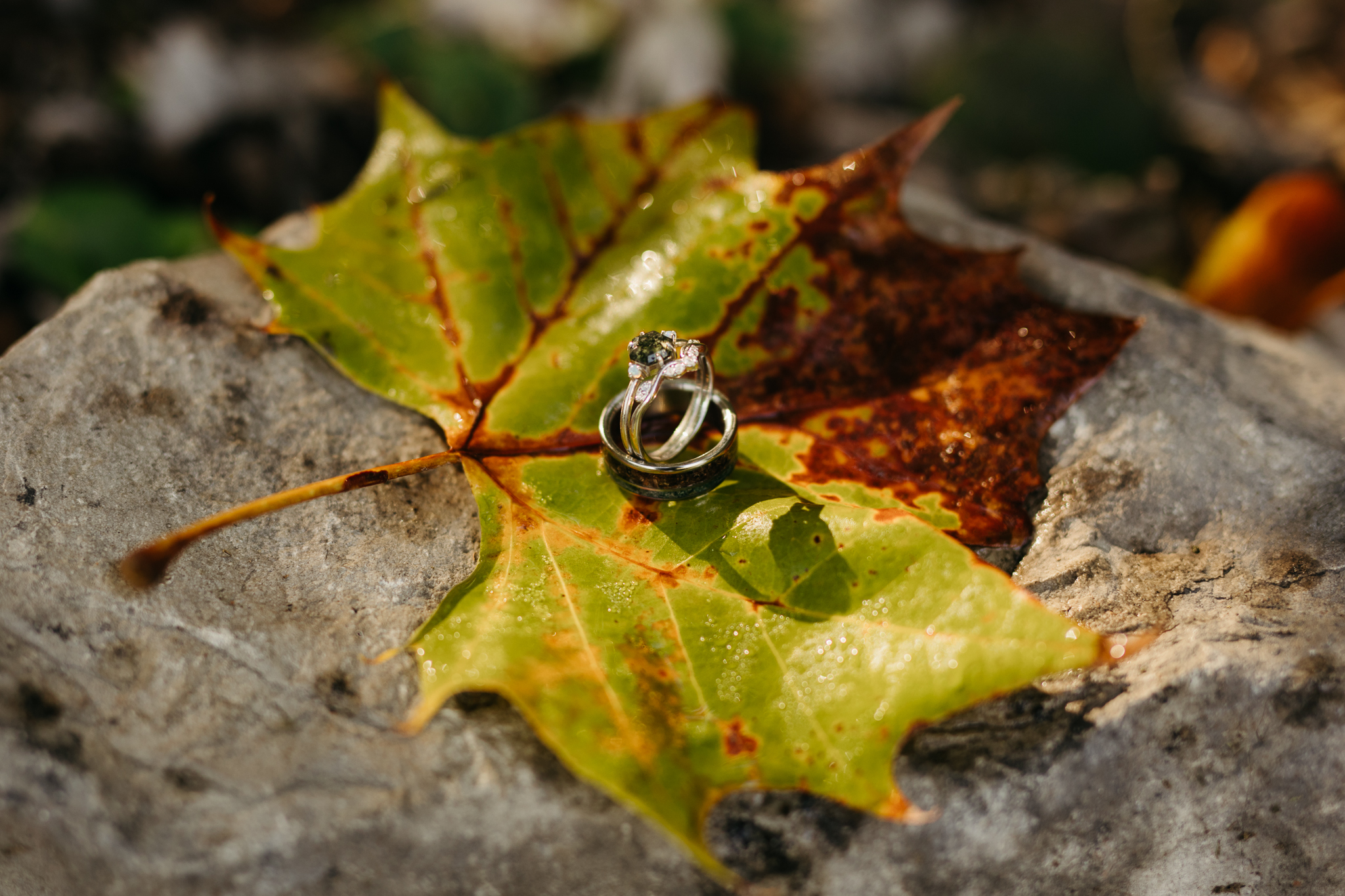 A Stunning Sunrise Waterfall Elopement at Cataract Falls, Indiana