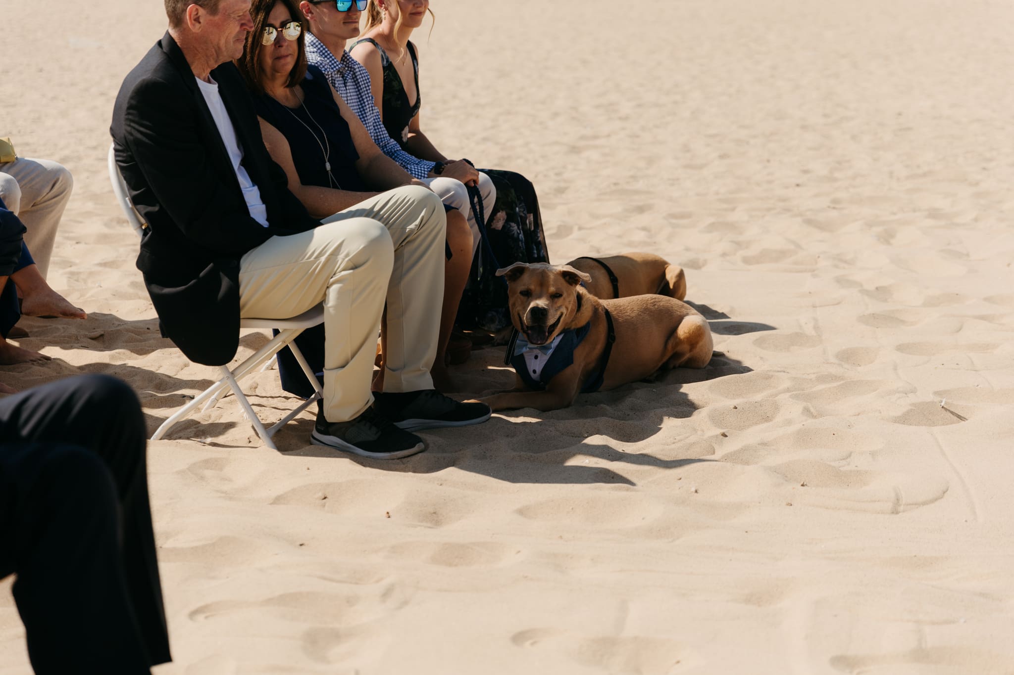 Bride and groom exchange vows on the beach during their Lake Michigan wedding ceremony at Warren Dunes State Park