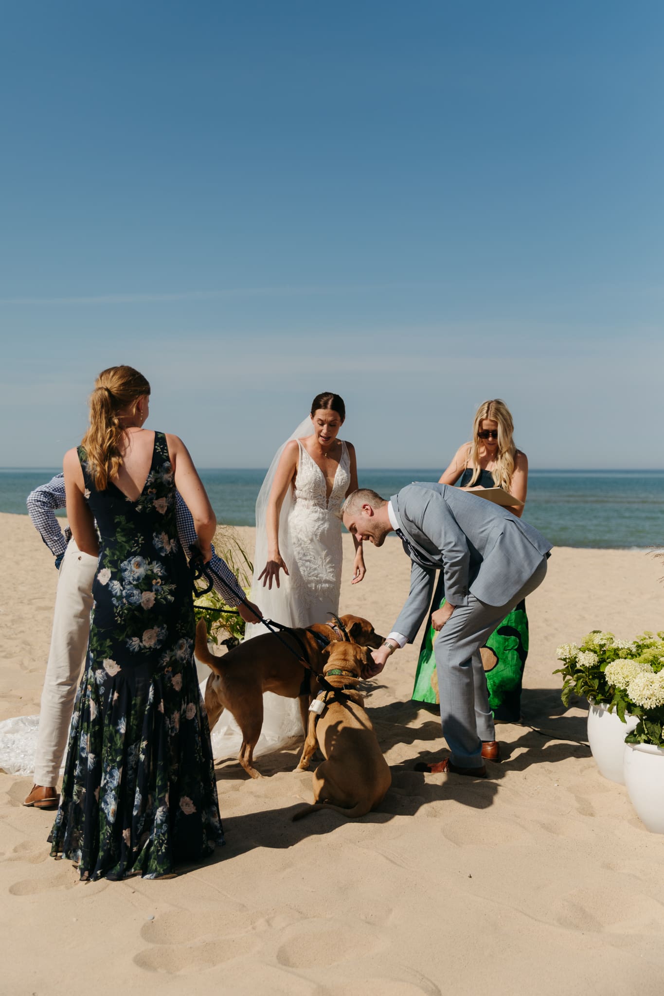 Ring bearing dogs walk down the aisle during a Lake Michigan wedding on the beach 