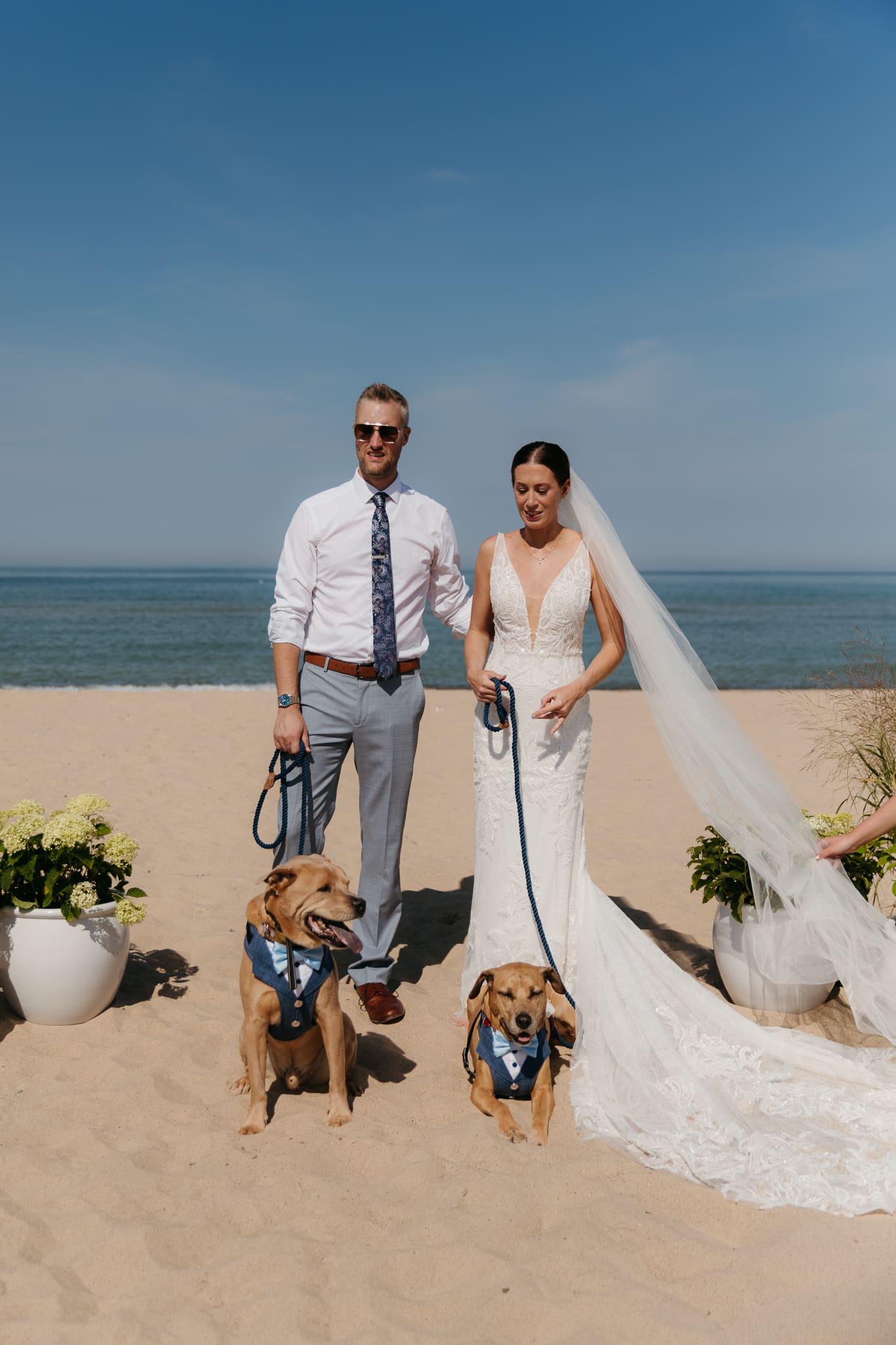 Bride and groom pose with their dogs after their Warren Dunes elopement