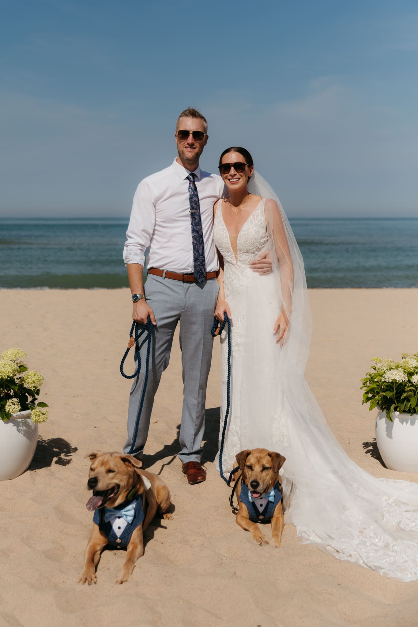 Bride and groom pose with their dogs after their Warren Dunes elopement