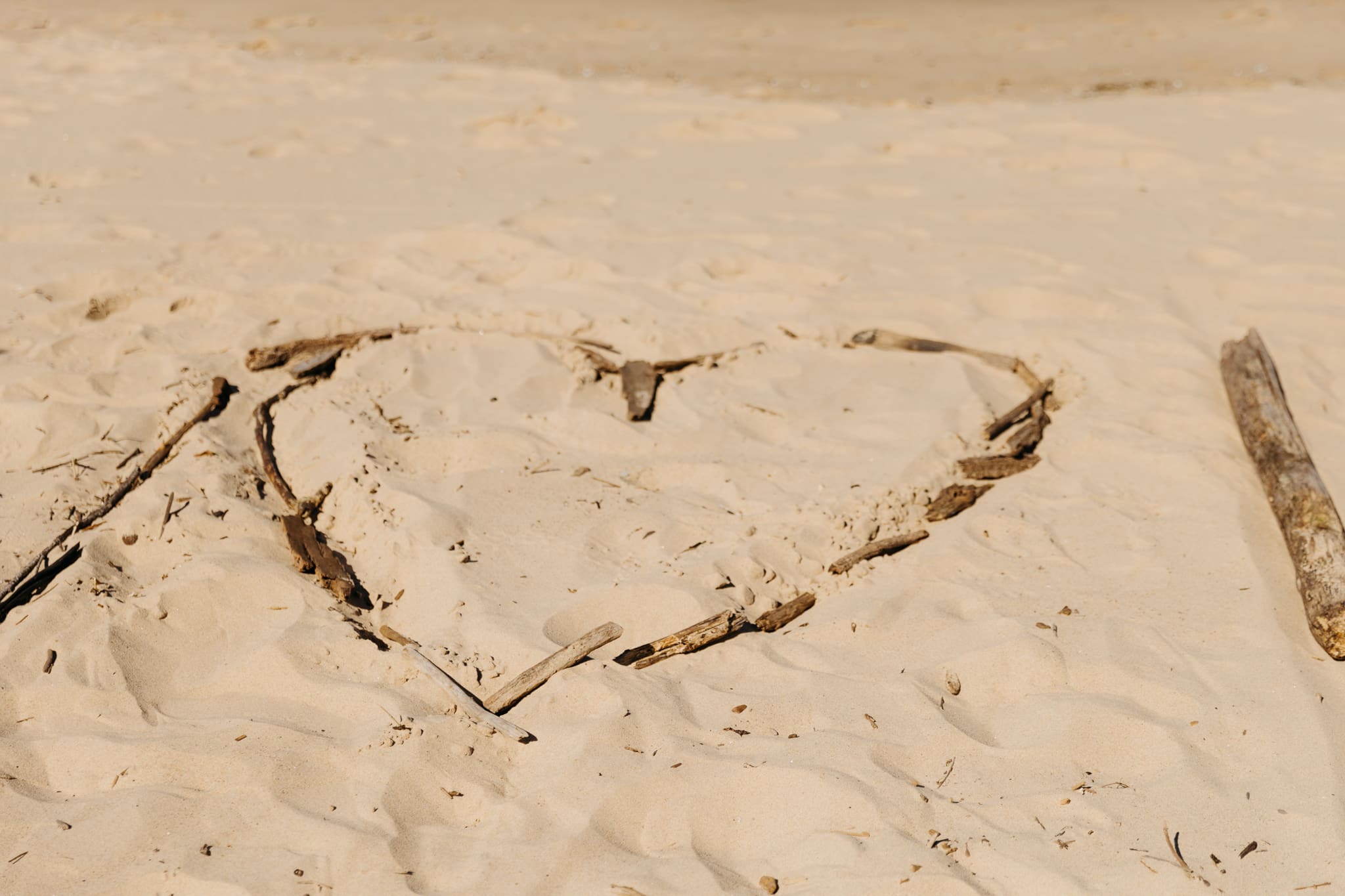 Family and friends gather for an Indiana Dunes National Park beach wedding