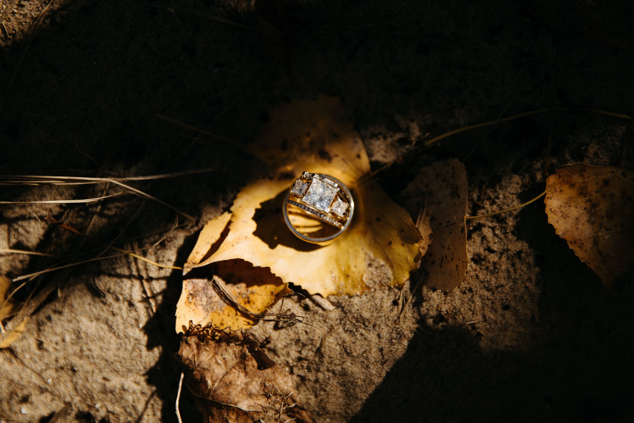 Wedding invitation, rings, and details for an Indiana Dunes intimate wedding along Lake Michigan