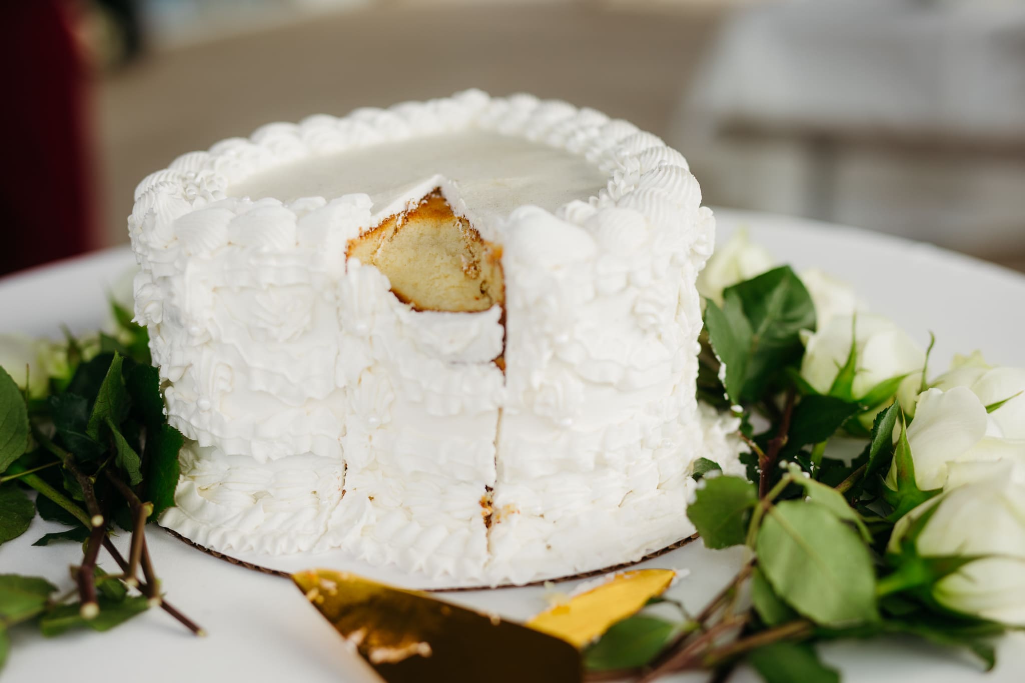 Bride and groom cut cake during their outdoor wedding reception at Indiana Dunes National Park